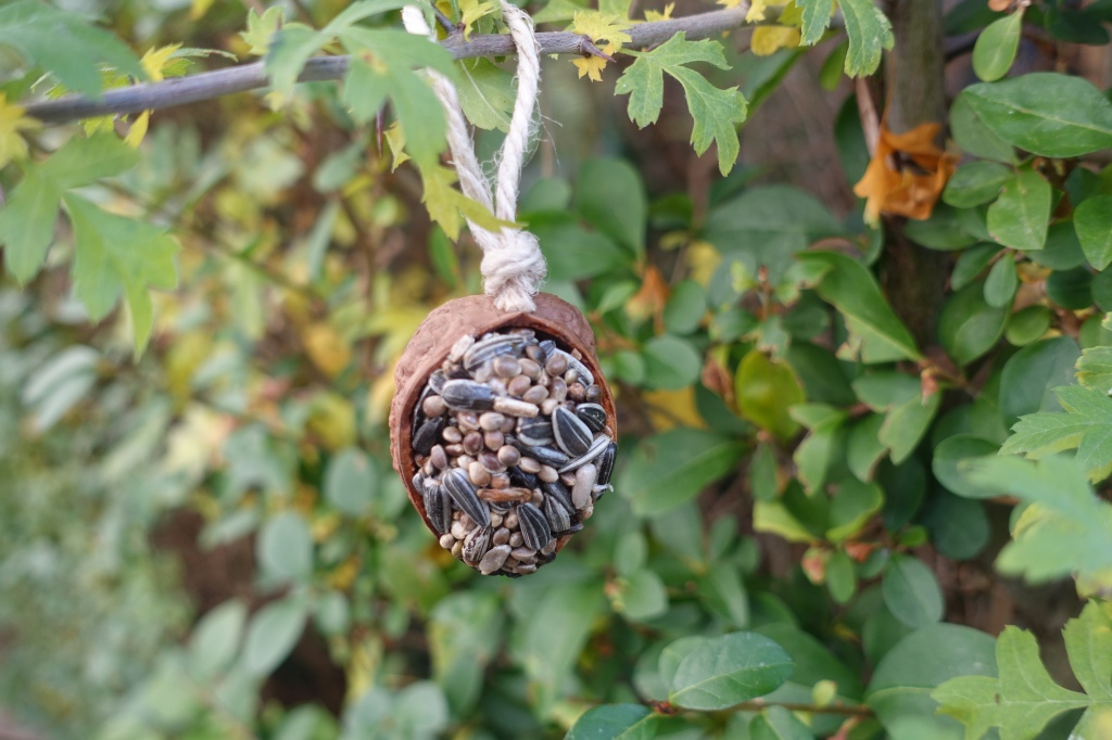 Bird feeder from walnut